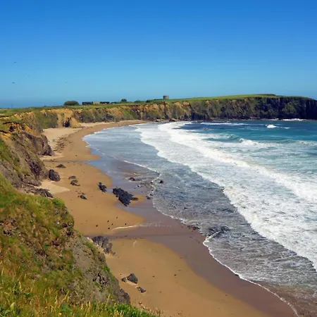 3 Bed In New Ross Oc-i036